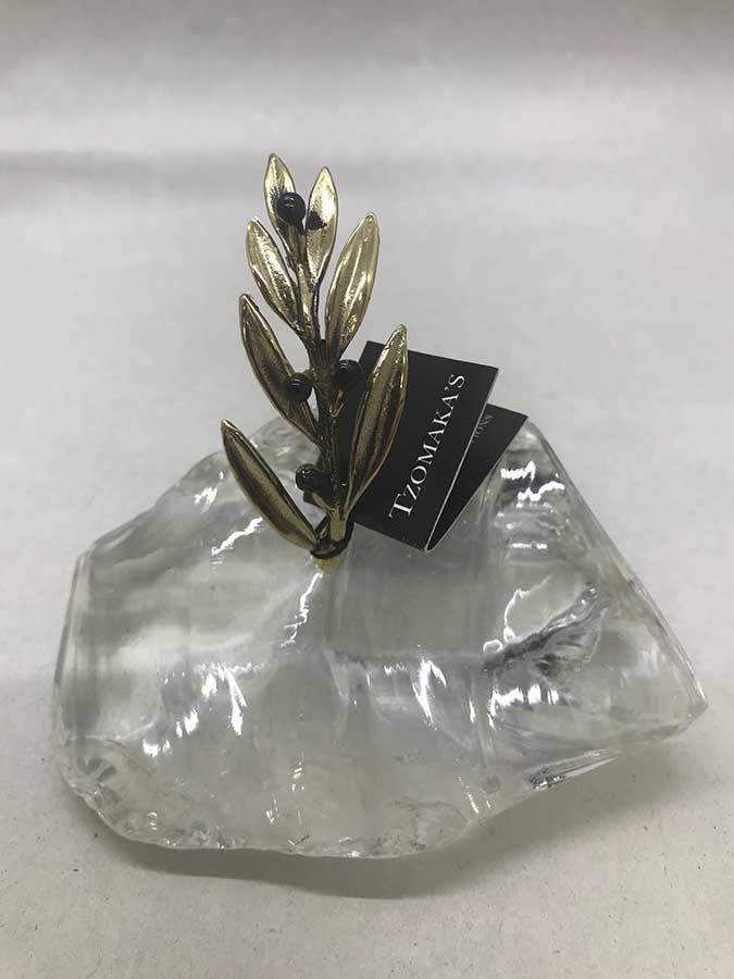 Ελιά μικρή σε γυαλί