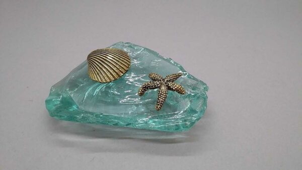 Πεταλίδα και αστερίας σαγρέ