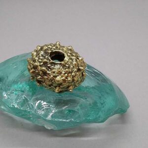 Αχινός μικρός