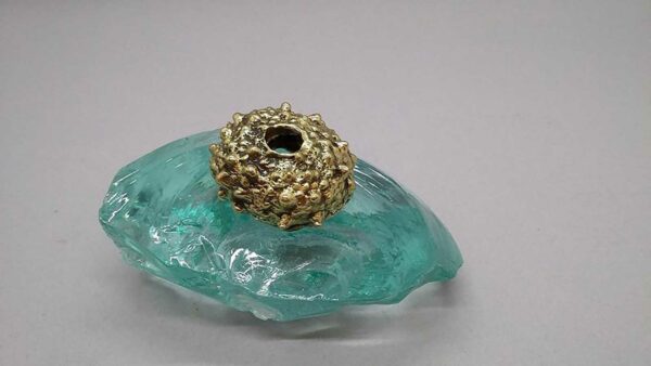 Αχινός μικρός