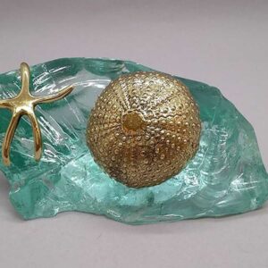 Αστερίας με μεγάλο αχινό