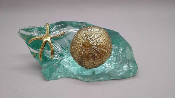 Αστερίας με μεγάλο αχινό