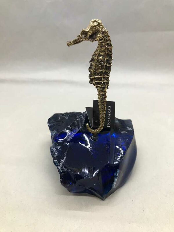 Ιππόκαμπος μεγάλος