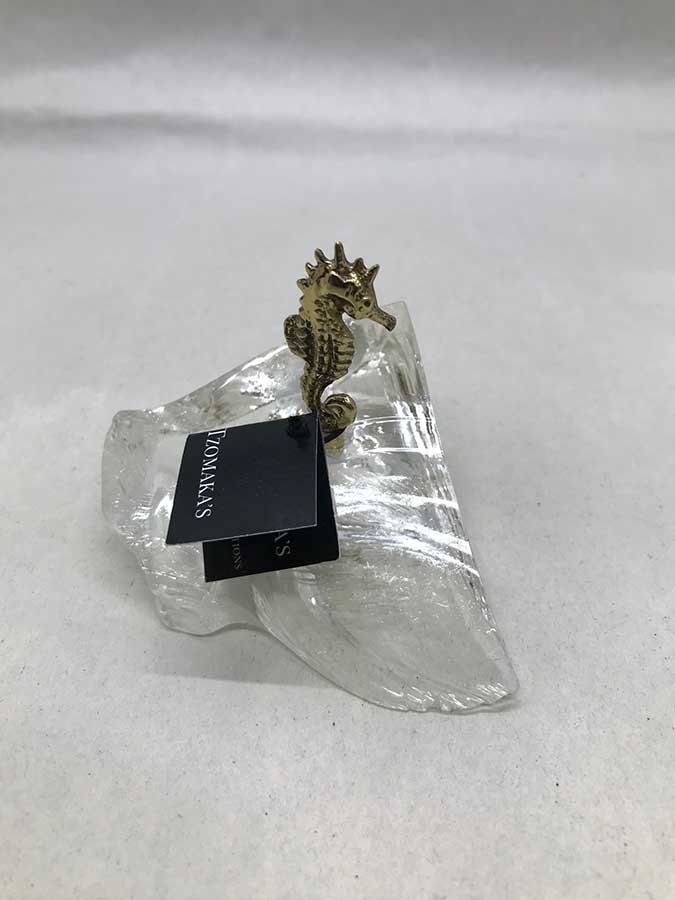 Ιππόκαμπος μικρός